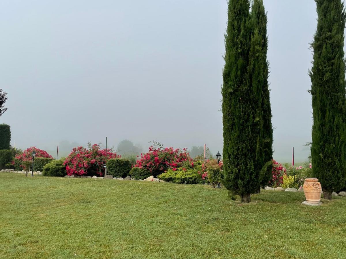 Incantevole Mugello 斯卡尔佩里亚 外观 照片